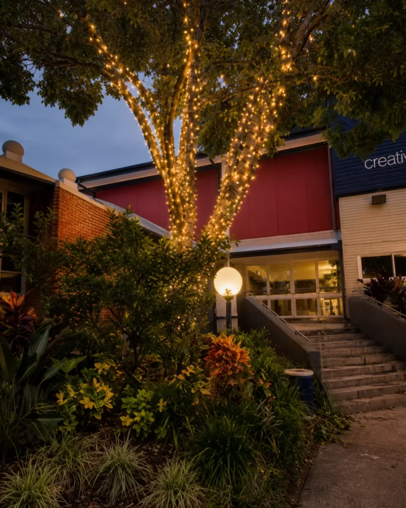 Decorative outdoor lighting across the education campus at night
