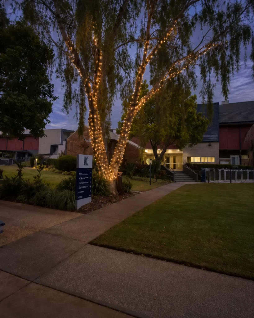 Decorative outdoor lighting across landscaped campus grounds at night